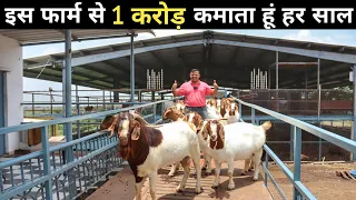 36 लाख की नौकरी छोड़ Goat Farming से बना डाली करोड़ों की बकरी फैक्ट्री | Goat Farm Tour