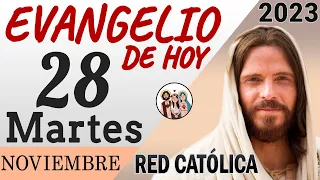 Evangelio de Hoy Martes 28 de Noviembre de 2023 | REFLEXIÓN | Red Catolica