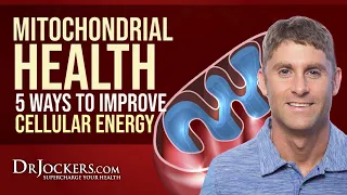 Mitochondrial Health:  5 Ways to Improve Cellular Energy