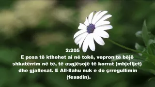 Sureja El - Bekare - Fahd El Kanderi recitimim mahnitshem ( me titra shqip)