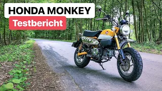 Honda Monkey 0-100 km/h / Spritverbrauch / Fazit
