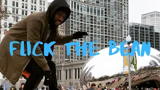 Exploring Downtown Chicago | Flick the Bean