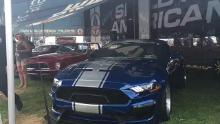 First Look: 2019 Shelby SuperSnake at Idle and acceleration!