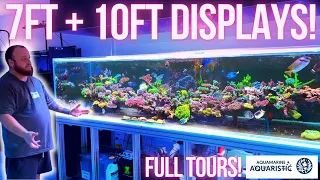 2 Incredibe Display Tanks - SPS and Gonipora Galore!