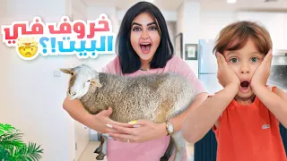 فاجأت زوجي في العيد وجبت خروف على البيت | ماتوقع!! 😂