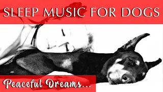 Super Sleep Music for Dogs and Humans | Black Screen