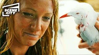 Nancy Repairs a Seagull's Wing | The Shallows (Blake Lively)