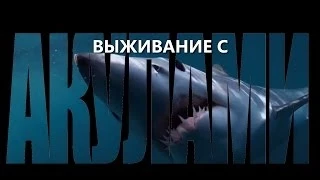 Выживание с акулами.