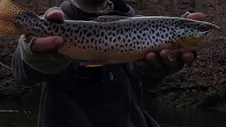 trout fishing Pennsylvania creeks