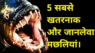 दुनिया की सबसे 5 खतरनाक जानलेवा मछलियां | Most dangerous fishes in the world in hindi