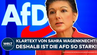 WAGENKNECHT: Klartext der Bundestagsabgeordneten! Das ist der Grund, warum die AfD so stark ist