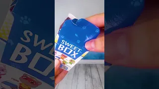 Распаковка сюрприза Sweet Box из серии Говорящий Том Супергерои 25/10/2023