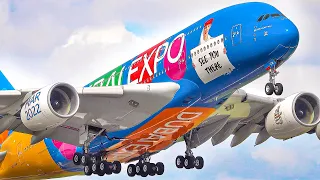 Aviation HIGHLIGHTS: COLORFUL & BIG Special Liveries