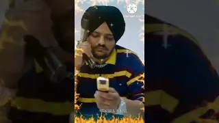 wold big fan sidhu moose wala new photography animation video