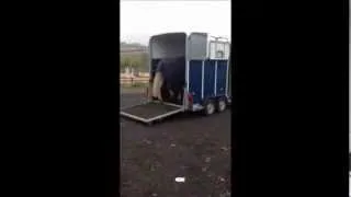 Freddie: trailer loading