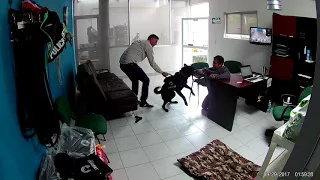 Asalto frustrado por perro entrenado