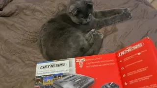 Ретро-консоль SEGA Retro Genesis Modern Wireless + 225 игр