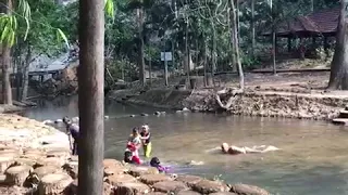 Crocodiles in Malaysia