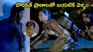 Watch Mosagadu Full Movie On Youtube | దొరికితే ప్రాణాలతో బయటికి వెళ్ళం | Natty | Nikitha | Ruhi