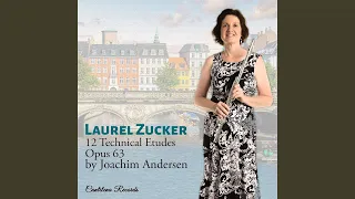 12 Technical Etudes for Flute,Op. 63: Etude 10. Allegro