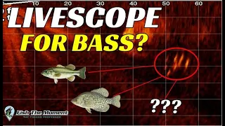 Should You Buy LiveScope for Bass Fishing? | Watch This Before You Buy!!