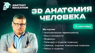 3D Анатомия для студентов. Анатомическая терминология. Оси и плоскости. Позвонок