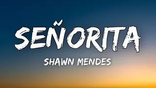 Shawn Mendes, Camila Cabello - Señorita ( Lyrics )