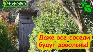 НАВОЗ БЕЗ ЗАПАХА, БРОДИЛОВКА и ТУАЛЕТ БЕЗ АРОМАТОВ: это возможно? ДА! Просто и бесплатно.