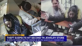 Theft suspects hit second Tennessee jewelry store