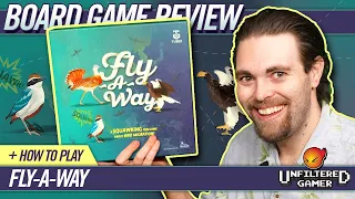 Fly A Way Board Game Review and How to Play
