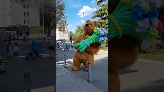 ОГРОМНЫЙ медведь с ОГРОМНЫМ медведем 🐻💐