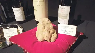 White truffle sells for 120,000 euros at Italian auction | AFP