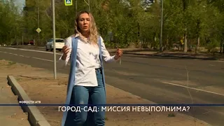 Спецрепортаж. Озеленение.