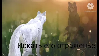 🤞клип мой рай WildCraft🤞