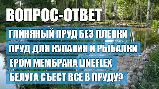 Глиняный пруд; Пруд для купания и рыбалки; EPDM мембрана lineflex; Белуга все съест?