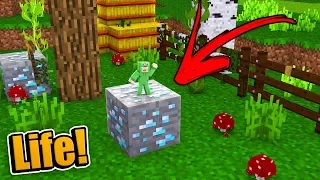 HOW TO LIVE INSIDE A DIAMOND BLOCK!