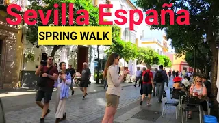 🇪🇸 Spain Spring Walk. Seville Walking Tour, Santa Cruz