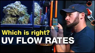 How important is the RIGHT flow rate for a UV Sterilizer in reef tanks? | BRStv Investigates