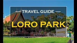 LORO PARQUE 2022 - TENERIFE ( NEW EPISODES WEEKLY ) Full HD