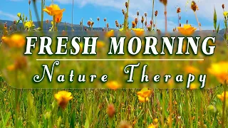 🌿🌞GOOD MORNING SPRING🌼Nature Therapy to Start Your Day Fresh & with Positive Energy🌿Flowery Meadow#2