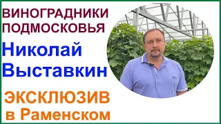 Коллекция винных сортов винограда Николая Выставкина и его винодельня. Раменское.