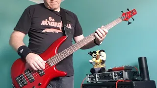 Golden Brown bass cover