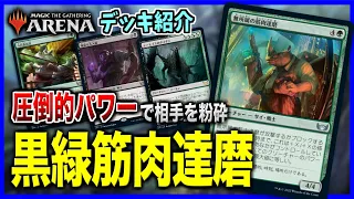 【MTGアリーナ】圧倒的なパワーで相手を粉砕！！ 筋肉ですべてを解決する「ゴルガリ筋肉達磨」【スタンダードデッキ紹介】