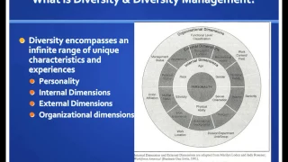 Introduction to Diversity and Diversity Management