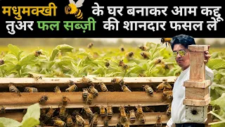 मधुमक्खी 🐝 के घर बनाकर आम कद्दू तुअर फल सब्ज़ी की शानदार फसल ले Make Bee 🐝 home and get maximum Crop