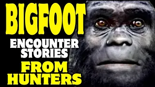 🔴 TWO HUNTERS tell their BIGFOOT ENCOUNTER stories !  BIGFOOT ENCOUNTERS LOCATION