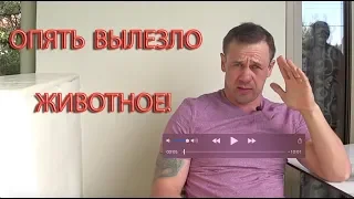 СРОЧНО НУЖНА ПОМОЩЬ ДРУЗЬЯ | Как не платить кредит | Кузнецов | Аллиам