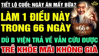 [Lạ] LÀM ĐIỀU NÀY TRONG 66 NGÀY, DÙ BV TRẢ VỀ CŨNG HỒI SINH SK, Cổ Nhân Dạy Cấm Có Sai | BTT