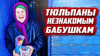 8 марта поздравил бабушек в деревне  | Оренбургская обл, Бугурусланский район