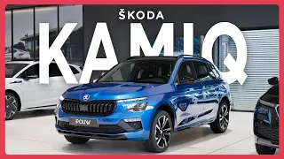 Skoda Kamiq [2024] | Visual Review